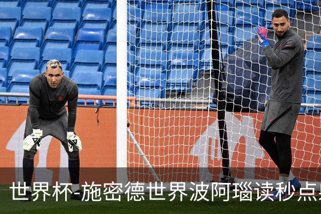 世界杯-施密德世界波阿瑙读秒点射破门 奥地利3-1约旦