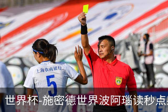 世界杯-施密德世界波阿瑙读秒点射破门 奥地利3-1约旦