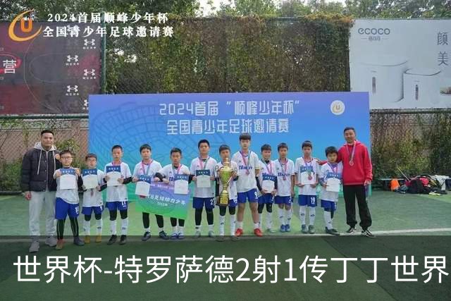 世界杯-特罗萨德2射1传丁丁世界波 比利时5-1新西兰获头名
