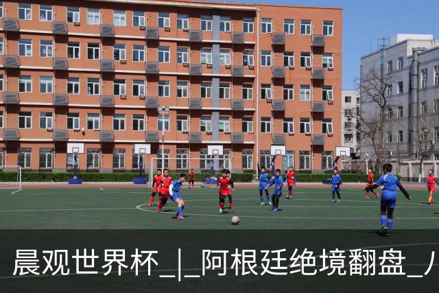 晨观世界杯 | 阿根廷绝境翻盘 八强全部产生